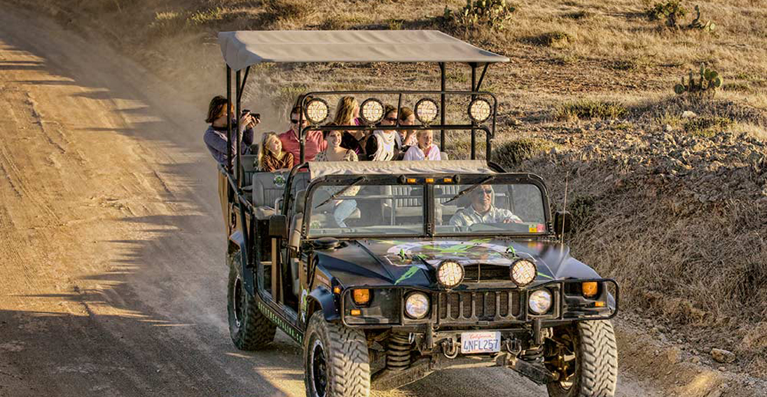 Maverick Helicopters private experience with Catalina Hummer safari