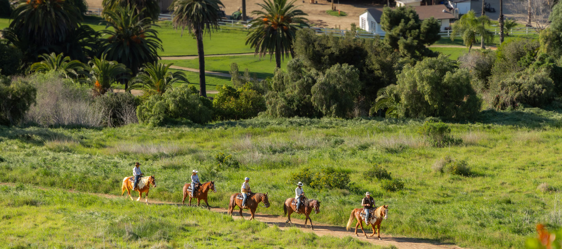 Line of horseback riders crossing a green meadow lined with palm trees