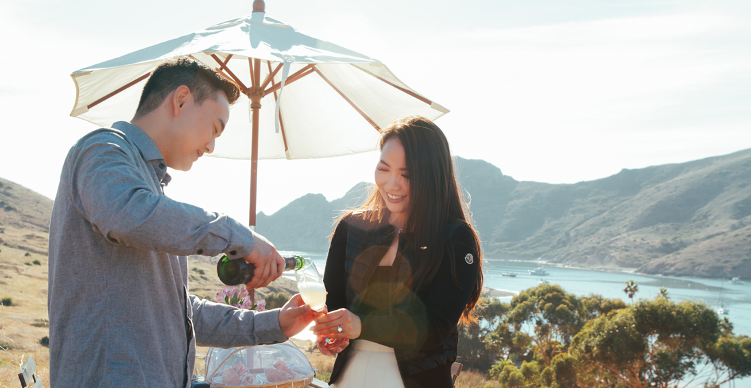 Maverick Helicopters Catalina Island tour with champagne picnic