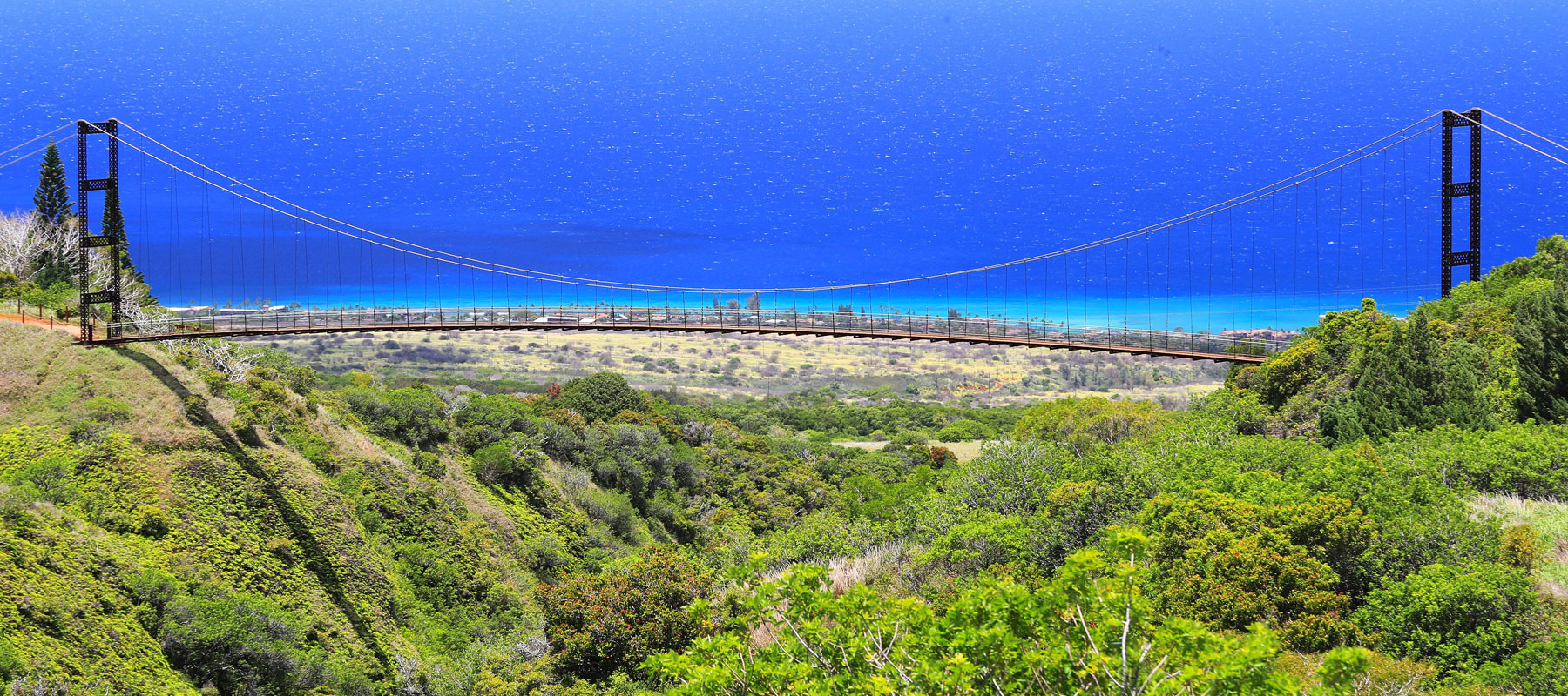 Panoramic view of Maui's blue ocean and coastline from zipline course